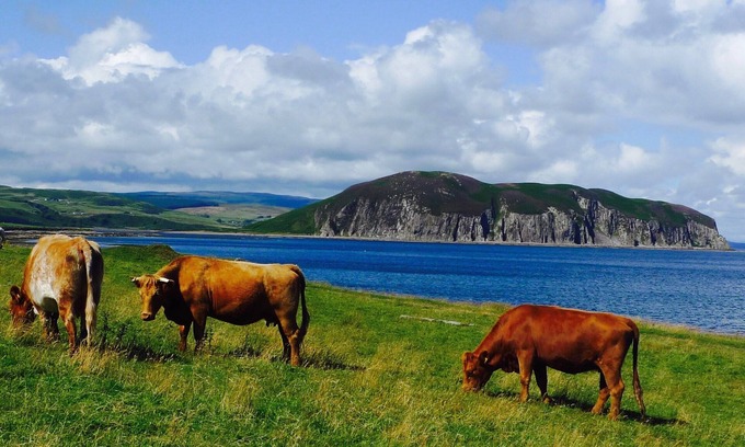 Campbeltown Otro | House on the hill above the sea
