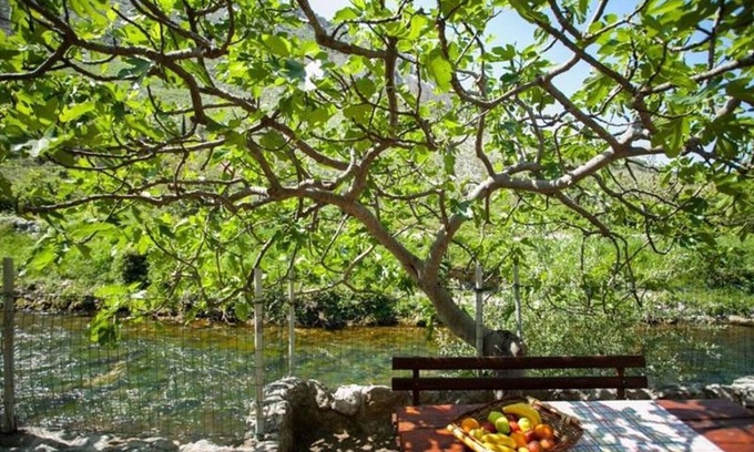 Zrnovnica Casa | House River (111981-K1) - Zrnovnica (Split)