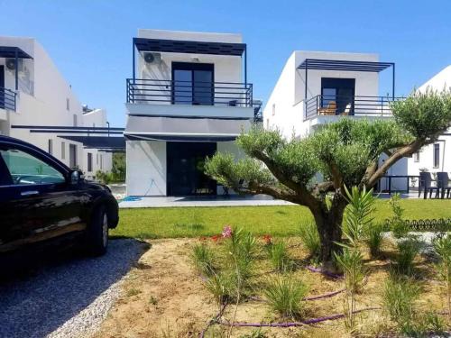Pangaio Casa | House Viki