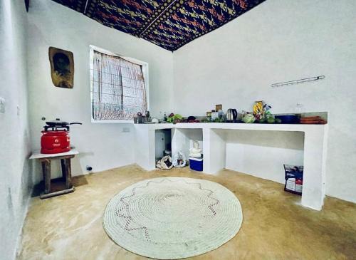 Mkunguni Apartamento | House with beautiful garden for rent in Kizimkazi