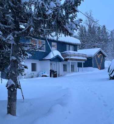 Tromso Casa | House with charm, valley with lots of northern lights, Breivikeidet