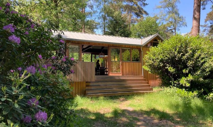 Municipality of Utrechtse Heuvelrug Casa | Houten bosvilla met sauna en 2 slaapkamers