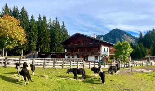 Berwang Apartamento | Huberbauer Hof