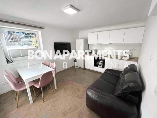 Bezigrad District Apartamento | Huge BBQ Garden 1, Basement app Two Bathrooms, AC, Free Parking