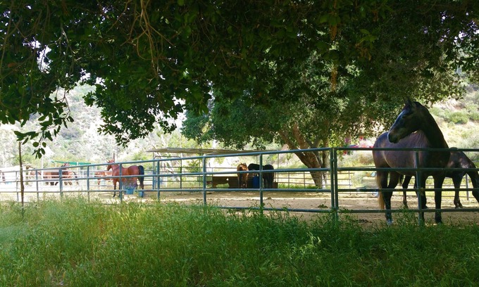 Sylmar Cabina | Huge Ranch,Wedding/Event/Party 200 guests plus cottage or Camping group