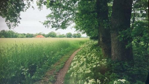 Onstwedde Cama Y Desayuno | Huis Eedingh