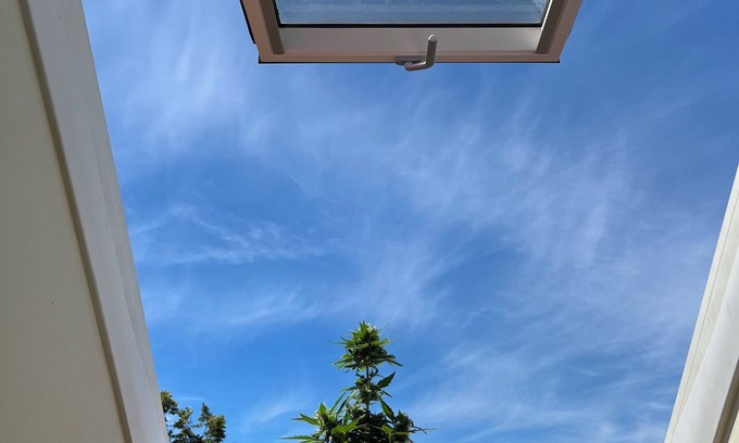 Rettenberg Condominio | Hummer Paradies