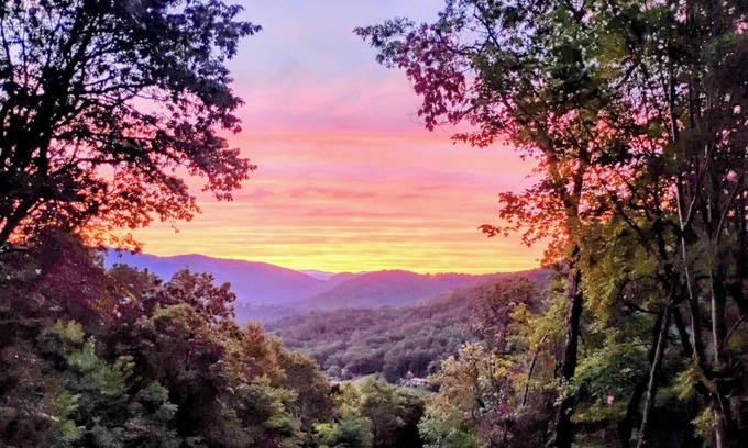 Screamer Mountain Cabina | Hummingbirds Haven w/Heavenly Mountain Views Dog Friendly!