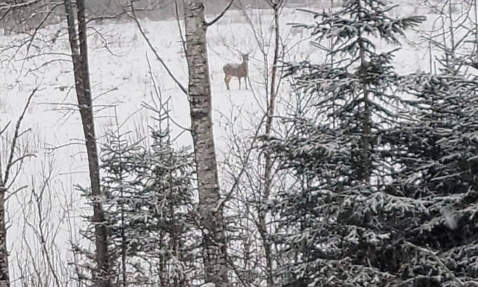 Allagash Casa | Hunting Camp Allagash Maine