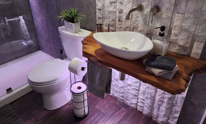 Courier City - Oscawana Apartamento | Hyde Park cozy "Chic Rustic" apartment 1 Mile from downtown - Private backyard