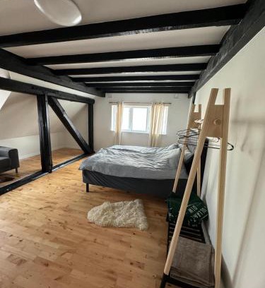 Espergaerde Apartamento | Hyggelig lejlighed nær Espergærde strand