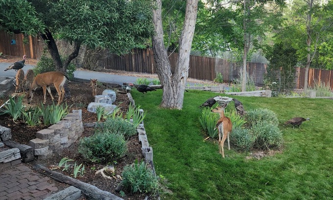 Yreka Casa | I-5 adjacent Bigfoot-themed Home