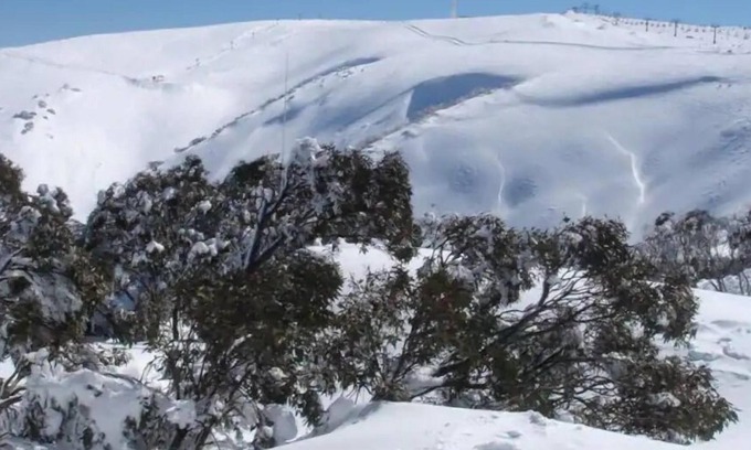 Hotham Heights Chalet De Esquí | IceBreaker - Hotham Heights