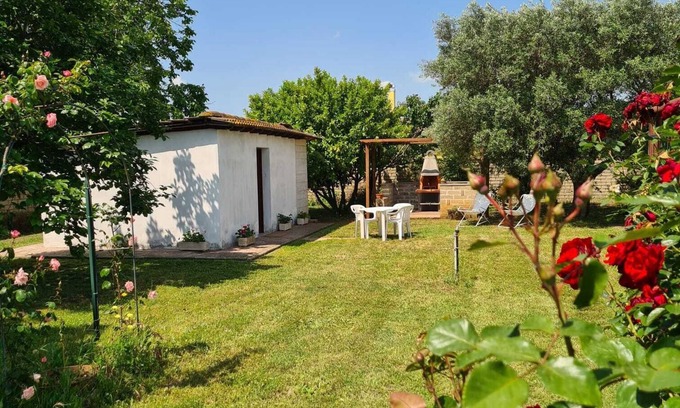 Zona XLIX Santa Maria di Galeria Casa | ID 22479 Mini house in the green quiet Roman countryside animals allowed
