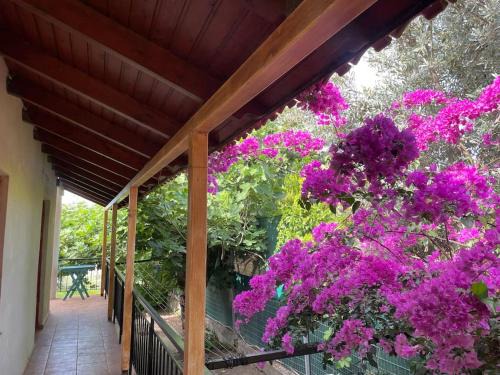 Agii Apostoli Casa | Ideal Cottage Holidays-Ιδανικές Εξοχικές Διακοπές