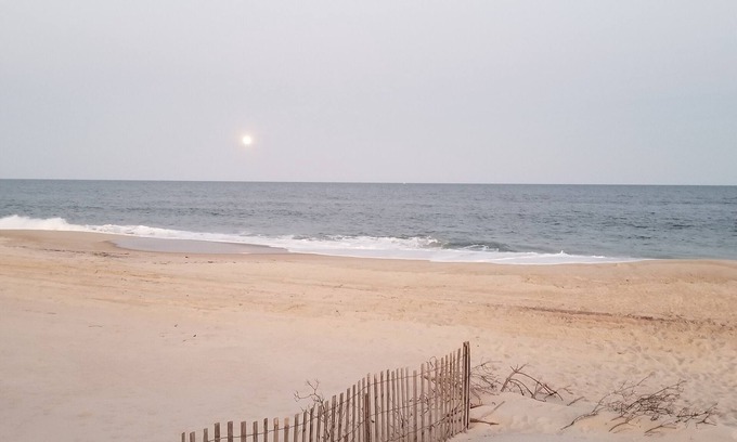 Davis Park Cabaña | Idyllic Cozy Cottage in Davis Park, Fire Island - Weekly Rentals Now Available!