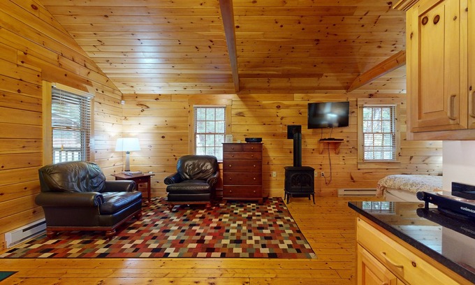 Northport Cabina | Idyllic dog-friendly studio cabin with AC, fireplace & WiFi