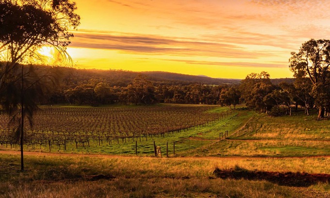 Williams Otro | Idyllic Farmhouse overlooking Vineyard on 160 acres