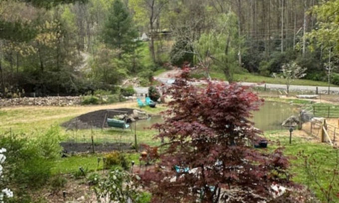 Swannanoa Casa | Idyllic Hillside Farmhouse