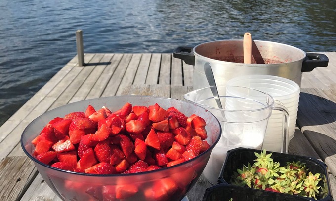 Hamar Municipality Cabina | Idyllic Summer Resort on the Waterfront at the Lake. Rowing Boat and Evening sun
