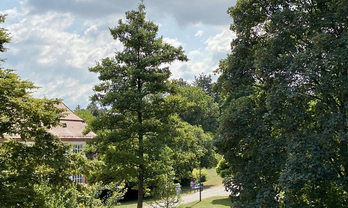 Bad Mingolsheim Apartamento | Idyllic vacation apartment by the spa gardens, view of the countryside, 1st floor, 98sqm, 5 people