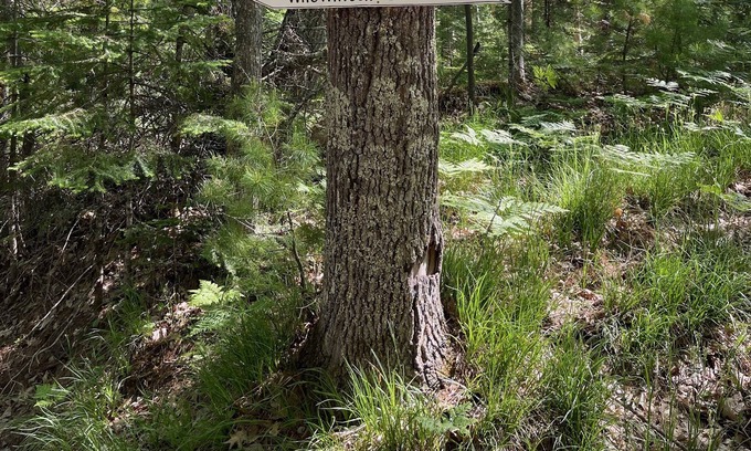 Sayner Casa | If you're looking for a relaxing Northwoods experience this is it!