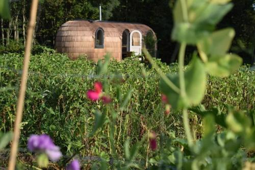 Kudjape Casa | Igloo cabin in Saaremaa