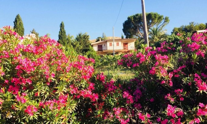 Santa Ninfa Cama Y Desayuno | Il Ficodindia