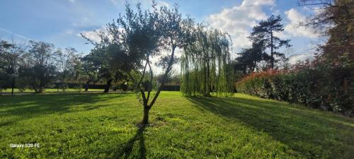 Novi Ligure Cama Y Desayuno | Il giardino di Marianna