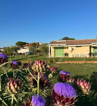 Grosseto Casa | Il giardino di nunzia