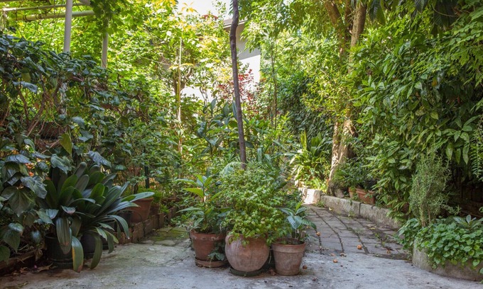 Cirenaica Apartamento | il Nespolo