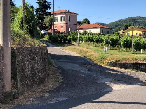 Sarzana Apartamento | IL NIDO DI CHLOE cod. citra 011027-LT-0239