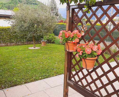 Quartiere XXIV Don Bosco Casa | Il PETTIROSSO