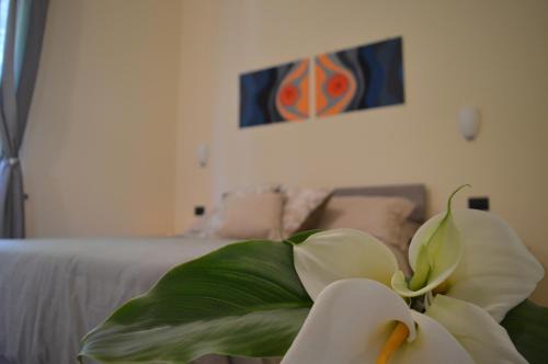 Sorrento Cama Y Desayuno | Il Rivolo