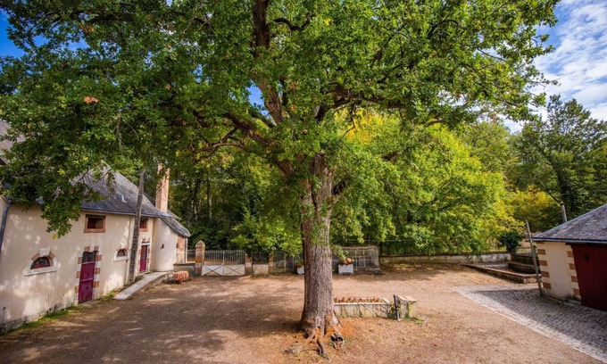 Cour-Cheverny Casa | In the heart of the Chateaux de la Loire Gîte de Plain-Pied adapted for PMR. Pets allowed