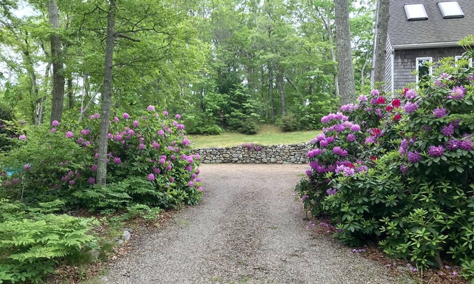 Vineyard Haven Casa | En el bosque / Paseo al pueblo