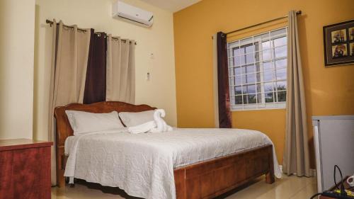 Kingston Cama Y Desayuno | Incognito Culture Rooms