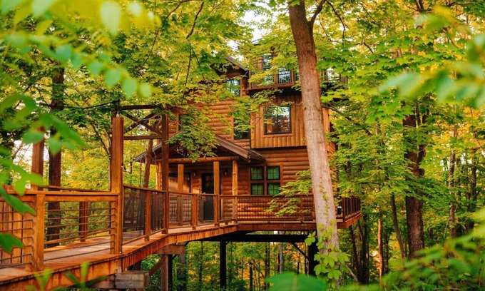 Millersburg Cabina | Incredible Treehouse with Breathtaking Views - Sleeps up to 6