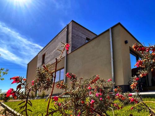 Hasselt Casa | Inova Guesthouse - Comfort Room with Private Bathroom and Access to Shared Facilities