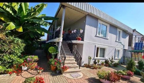 Kobuleti Casa | Ios Guest House