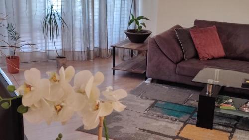 Nicosia Apartamento | Isabella Modern flat City Center Nicosia
