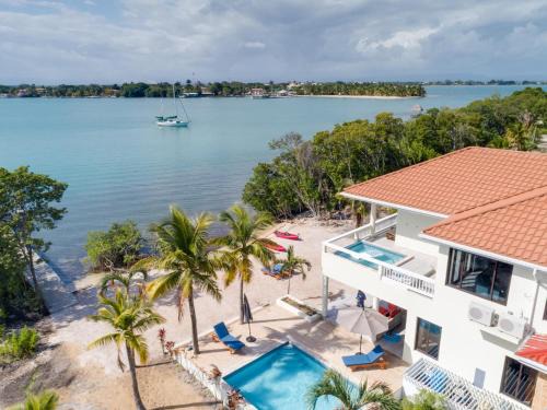 Placentia Casa | Island Time Gecko