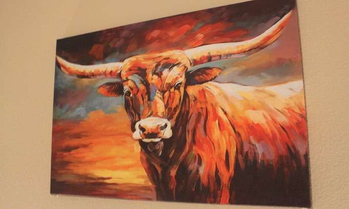North Burnet Apartamento | It was all a dream..