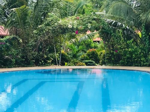 Nilaveli Hotel | ITALIAN GUEST