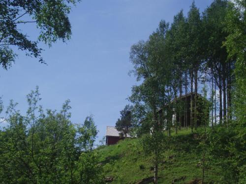 Tolga Municipality Apartamento | Ivaregga Vinterstua