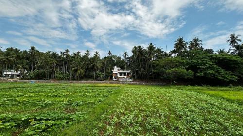 Tirur Casa | Izzath