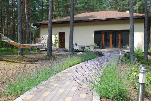 Engure Apartamento | Jūrmalas Priedes