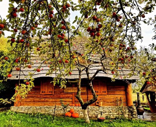 Kalwaria Pacawska Chalet De Esquí | Jabłoniowa Chatka