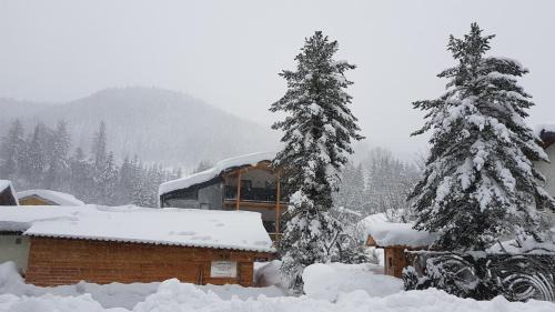 Annaberg im Lammertal Apartamento | Jagd trifft Moderne & Boutique Jardin Ferienhaus