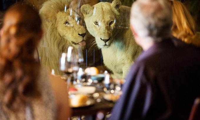 Yarralumla Cabina | Jamala Wildlife Lodge